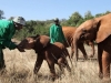 Kithaka playing with keeper