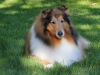 Looking Beautiful Post Bath September 2014