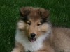 Just Relaxing