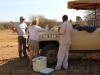 Bush break on the vehicle