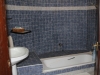 Tub and shower combo