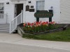 Even the Courthouse and Police have tulips