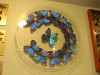 In the lobby a display of Blue Morpho butterflies