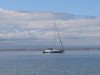 Sailboat in the harbor