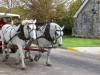 Horses strolling by the Little Stone Church