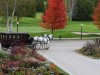 No cars, just carriages