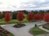 Wandering around while waiting for room keys and enjoying the colors.