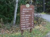 More important signs