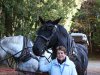 Gail is enjoying the horses too