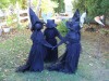 Halloween is big here