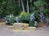 A topiary horse that will be taken back to the mainland for winter storage but decorated for Halloween
