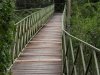Walkway to cottage