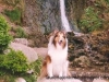 Summer 1999 - Petoskey