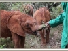 Gentle touch