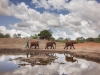 Malkia in her beautiful new home - on far right
