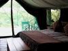 Big tents with comfortable bed