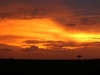 My favorite sunset in the Mara