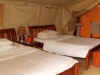 Two double beds