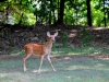 One of the 2012 Twins