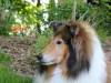 Lacey April 2014