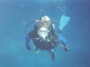 Diving in the Bahamas