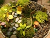 Converted an old birdbath to a miniature garden