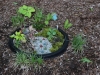 Another fairy garden from recycled tub