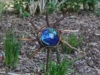 Garden art glows in the dark