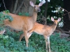 Mom and Baby