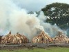Burning ivory and horns at memorial in 2016