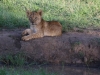 The newest member of the Offbeat Pride