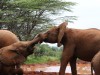 Youngsters having fun at Sheldricks