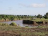 Breakfast by the Mara River
