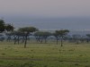 Early fog at Naboisho
