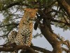 She is checking things out