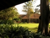 View of the grounds from Leopard 409