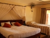 Room 70 with king bed and twin