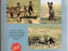 Digital page from 2014 trip to Kenya