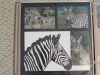 Photos with laser cut backgrounds