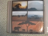 Laser cuts with background papers