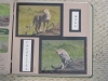 Matting