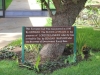 Explanations