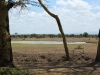 View of water hole from Tent 3