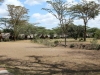 Tents along the water hole