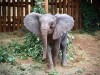 Talek When She First Arrived at Orphanage