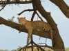 As the sun is going down, Ndoto thinks about dinner