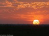 Beautiful sunrise in Mara North Conservancy