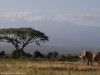 Craig under Mount Kilimanjaro in the early morning