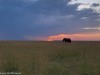 The last sunset in Mara North Conservancy