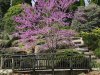Olbrich Botanical Gardens Madison, Wisc.